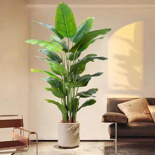 天堂鸟仿真绿植高端轻奢仿生花客厅大型室内盆栽摆件装饰树假植物