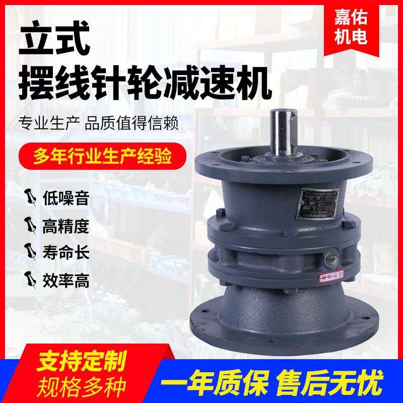摆线针轮减速器立式卧式BWDBLD0X摆线针轮减速机带配件配国标电机