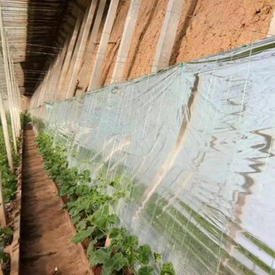 反光膜大棚用果树专用反光幕增温上补色纸着地膜蔬菜花卉温室挂墙