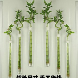 创意田园壁挂转运竹水培麻绳玻璃花瓶工艺小花插挂件家居墙面装饰