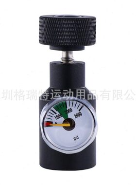 黑色金色G1/2苏打带表接头TR21-4螺纹气头1500/3000psi