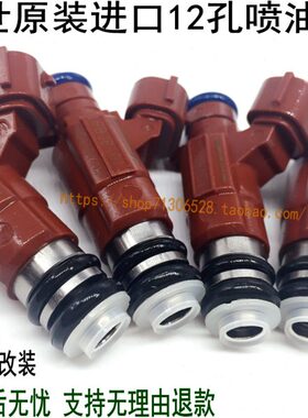 桑塔纳2.0志俊1.8普桑老捷达途安途观改装喷油嘴12孔FBJB101