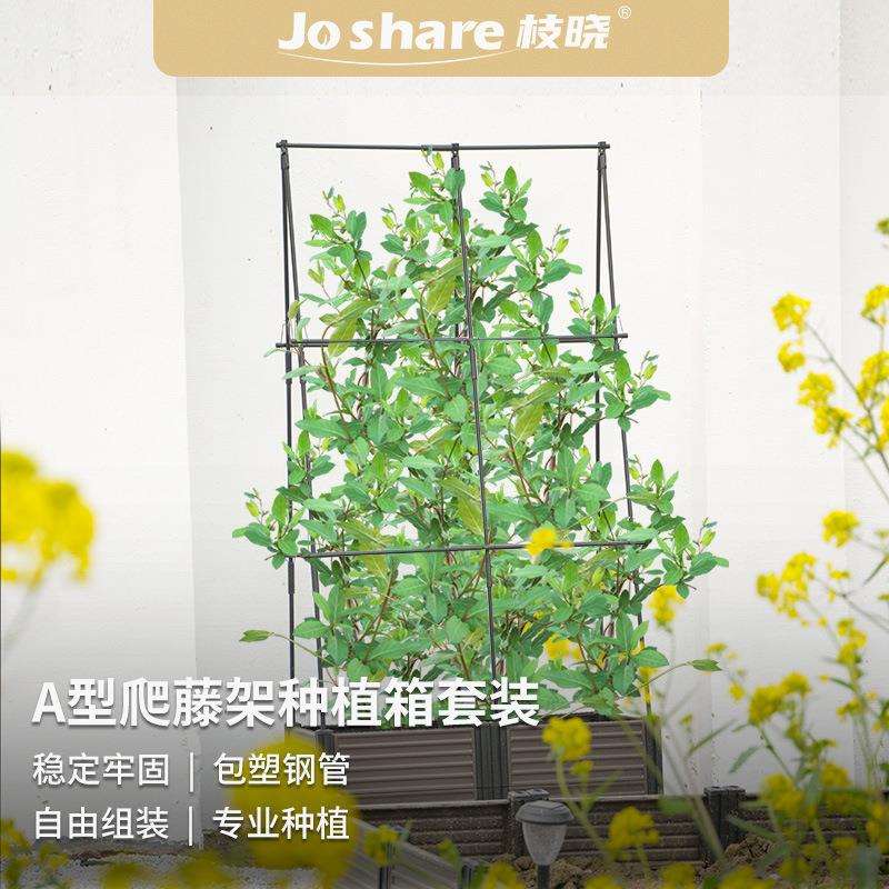枝晓 A型爬藤架种植箱套装瓜果蔬菜爬藤植物家庭阳台攀爬植物专用