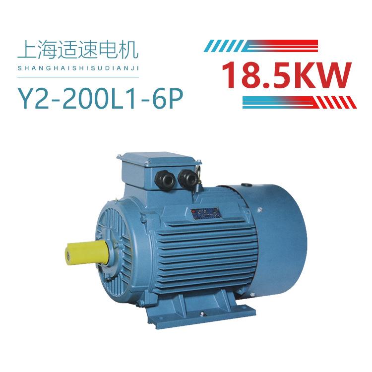 供应Y2-200L1-6 18.5KW三相异步电动机 双速电机 特种电机 铜心