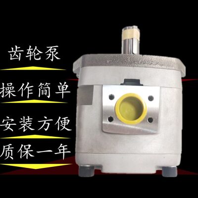 不二越油泵IPH-3B/4B/5B/6B-16/20/25/32/40/50/64/80/100/125-11