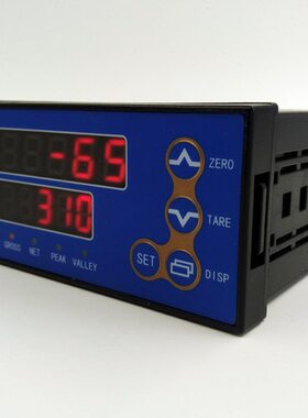 CTB6F显示仪表控制仪表 高速称重控制器 CTB6力值仪表称重仪表