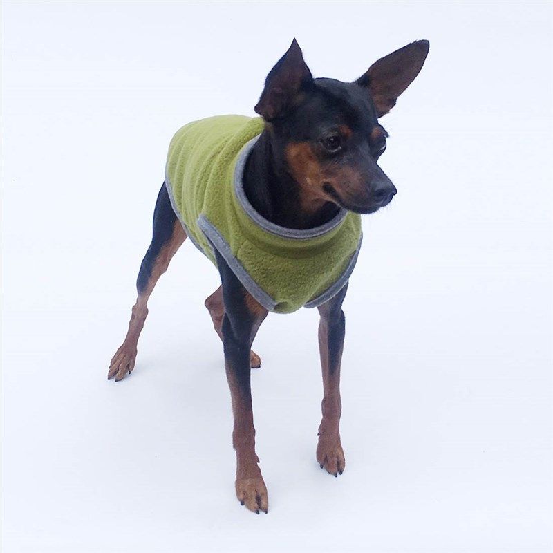 迷你小鹿犬专用衣服秋冬季小型狗狗幼犬两脚卫衣小体保暖马甲背心