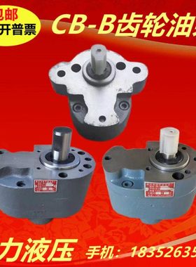 CB-B4/B6/B10/B16/B20/B25/B32/B40/B50/B63/B80/B125F钢齿轮油泵