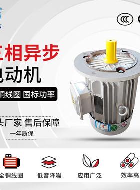 6极三相异步电动机YE3-90S/L-6交流立卧式马达0.75/1.1W电机