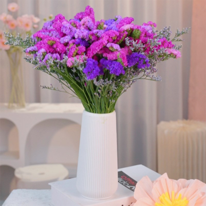 【赠花瓶】云南昆明直t发勿忘我自然干花花束鲜花真花插礼物