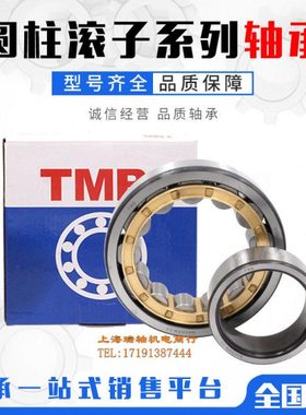 浙江天马TMB轴承 NU NJ 213 214 215 216 217 218 219 220 221 EM