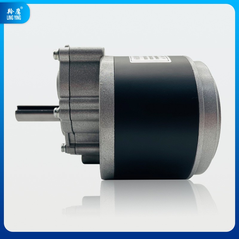 羚鹰MY1016Z永磁直流有刷二级减速电动车电机24V250W低速轮椅电机