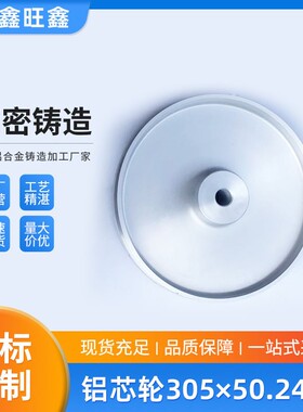 铝芯轮305×50.24孔全铝芯砂带机抛光轮五金配件轮电机主动轮
