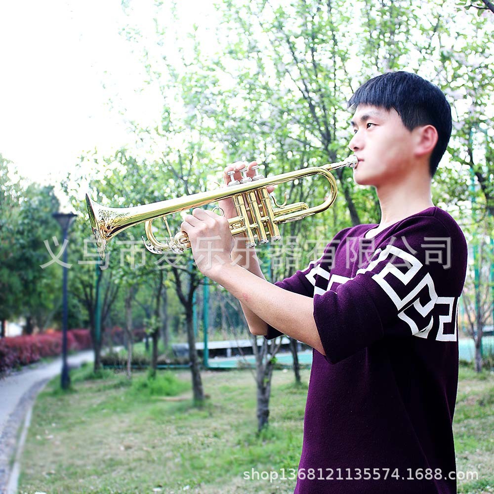 西洋乐器黄铜小号降B调金色小号初学者练习乐队专业演奏镀镍小号