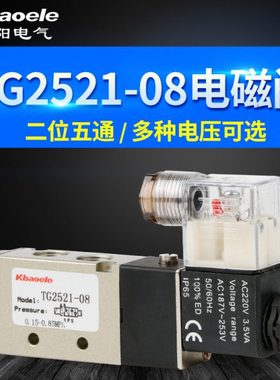 电磁阀 气阀TG2521-08 二位五通电磁阀DC12V 24V 220V