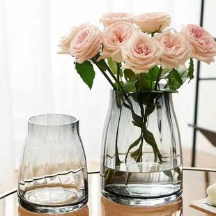 高级感轻奢玻璃花瓶摆件客厅大口径餐桌插花透明水养鲜花玫瑰花瓶