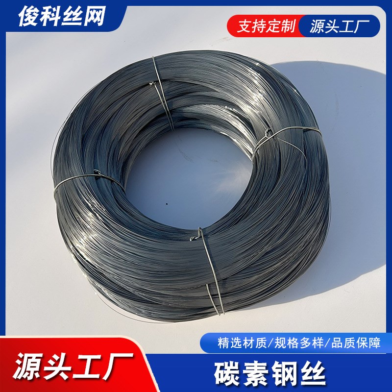 厂家现货高级碳素弹簧钢丝65mn 镀锌热镀锌钢丝 双股镀锌钢丝