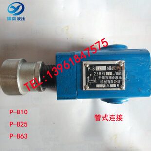 B25 A10B 溢流阀P B63B B63 B25B B10B B10 管式 板式