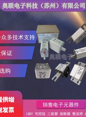 170M5114 170M5115 170M5116 170M5117 170M5118巴斯曼熔断器保险