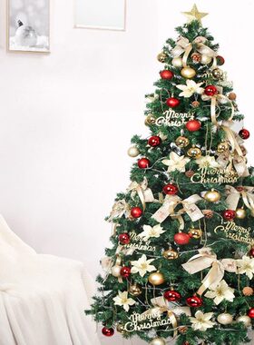 圣诞树家用加密1.5米发光套餐圣诞节装饰摆件绿色大型1.8/1.2米