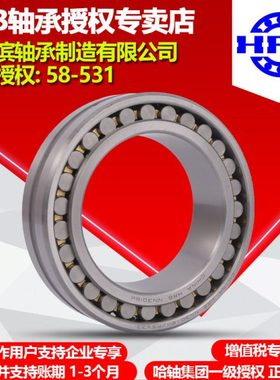 HRB NN 3021 3022 K/P5/P4 W33 哈尔滨双排圆柱滚子机床主轴轴承