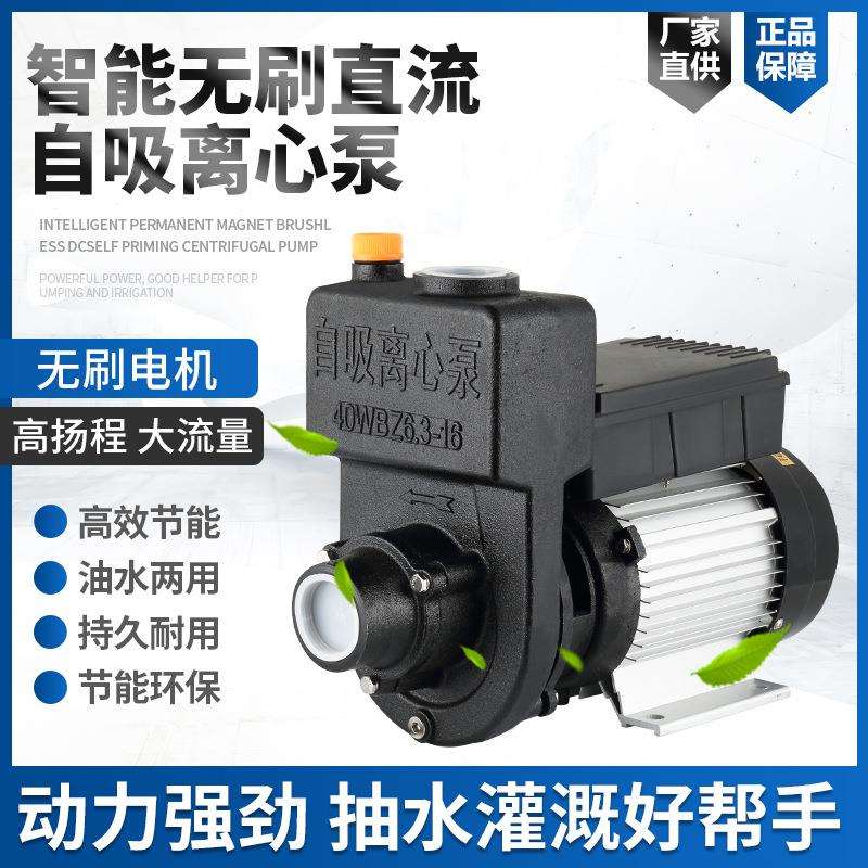 无刷直流自吸离心泵抽油泵环卫洒水车水泵48V60V72V高扬程电瓶泵