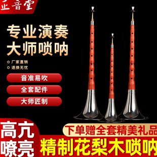 正音堂花梨木唢呐乐器唢呐乐器初学者专业演奏型专业唢呐D调喇叭
