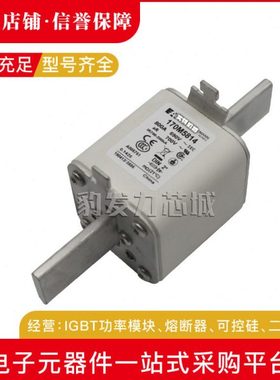 170M5952/5953/5954/5955/5956/5957/595/5959/5960/5961熔断器