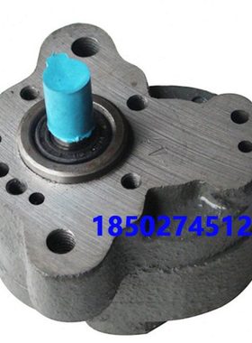 齿轮泵带耳朵 2孔安装 带耳朵泵 CB-B2.5 CB-B4 CB-B6 CB-B10