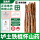 匠老师垆土铁棍山药正宗河南焦作温县铁杆淮山怀山药精选新鲜整箱
