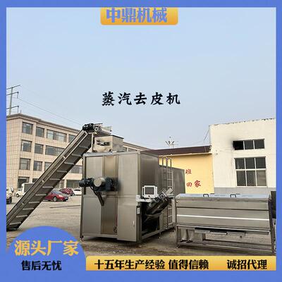 荷兰薯蒸汽去皮机山药蛋物理脱皮设备大型薯片加工退皮机