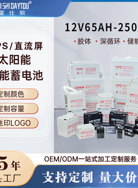 雷仕顿12V65AH100AH200AH太阳能胶体UPS直流屏铅酸免维护蓄电池