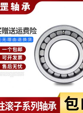 圆柱满滚子轴承SL04/NNF 5020PP 5022PP 5024PP 5026PP 5028PP