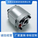 CBK齿轮泵动力单元 专用排量2.1其他更多型号请详询