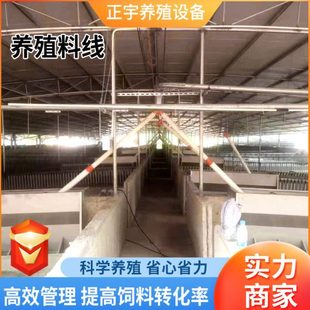 塞盘喂料养猪场自动料线牲畜饲喂设备全套料塔料线养殖自动化料线