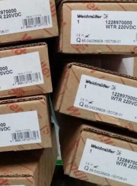 魏德米勒时间继电器WTR 110VDC 1228960000 WTR 220V 1228970000