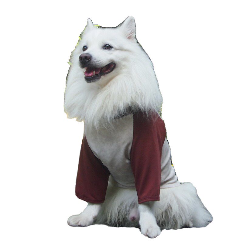 宠物狗狗中大型犬两脚衣护肘护关狗宠物服装/雨衣