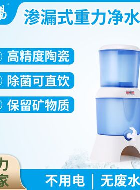 净易重力净水桶家用厨房直饮净水机应急滤水器农村水窖水井水净化