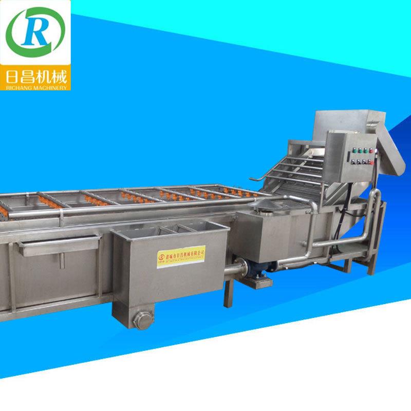 大中小型果蔬气泡清洗机商用多功能洗菜机高压喷淋气泡洗果机