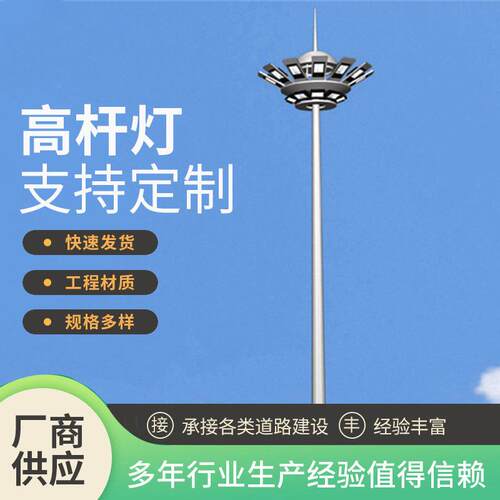 公园小区户外杆灯广场篮球场工程照明灯道路探照灯杆厂家