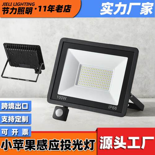 跨境感应投光灯30W200W户外人体感应小区庭院超亮小苹果led投光灯