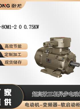WE3-80M1-200.75W系列超高效三相异步电动机