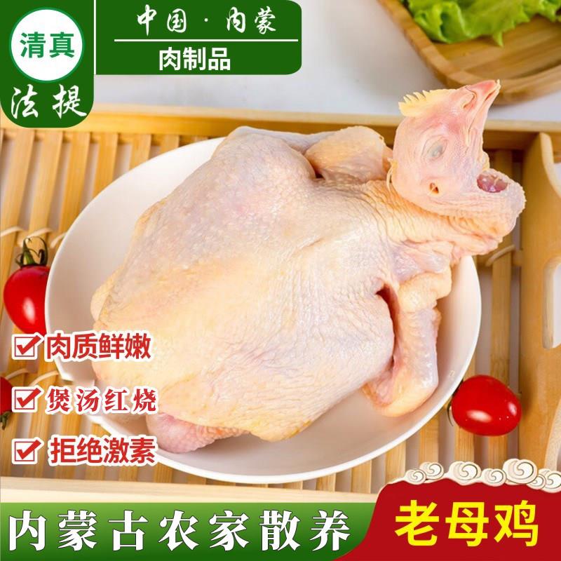 清真老母鸡生鲜冷冻内蒙古农家新鲜整只草鸡笨鸡溜达走地鸡煲汤炖
