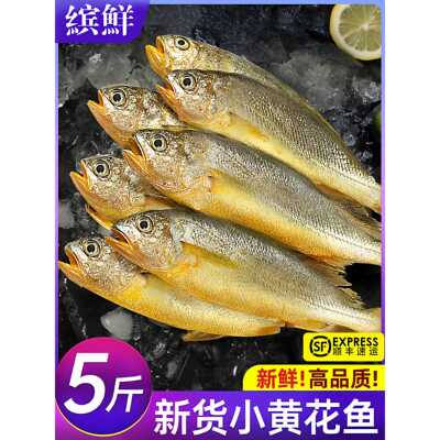 小黄鱼新鲜冷冻海鲜真正海鱼鲜活黄花鱼生鲜冰鲜深海水产商用烧烤