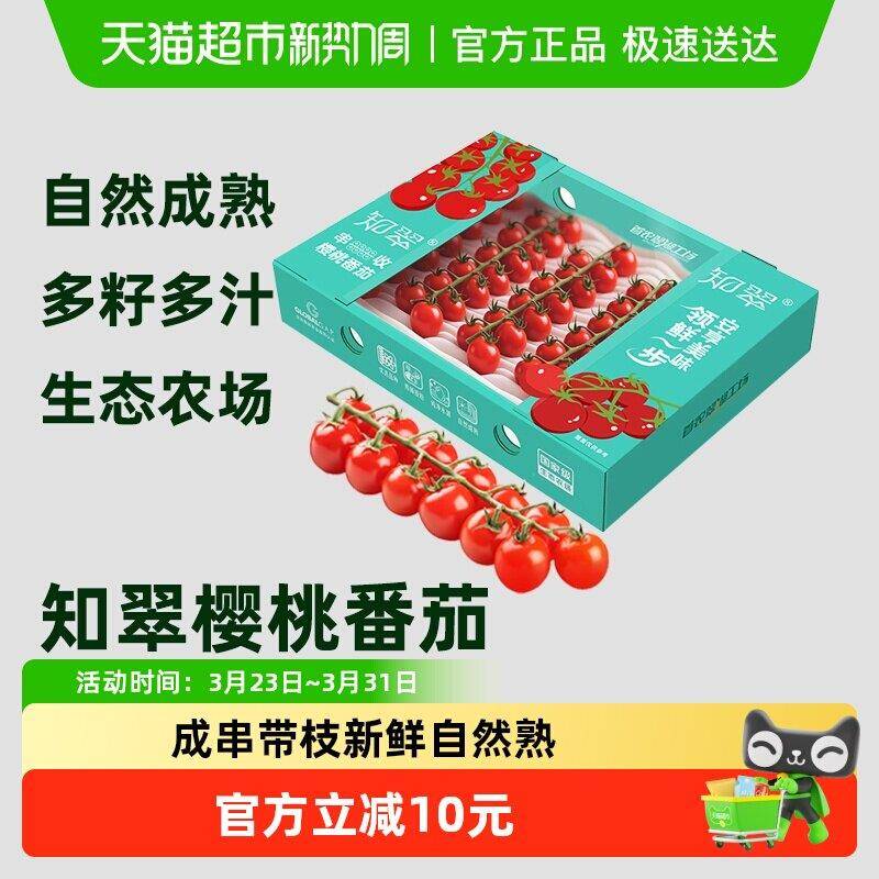 【知翠】红串收樱桃小番茄生吃西红柿自然熟脆甜新鲜水果小柿子