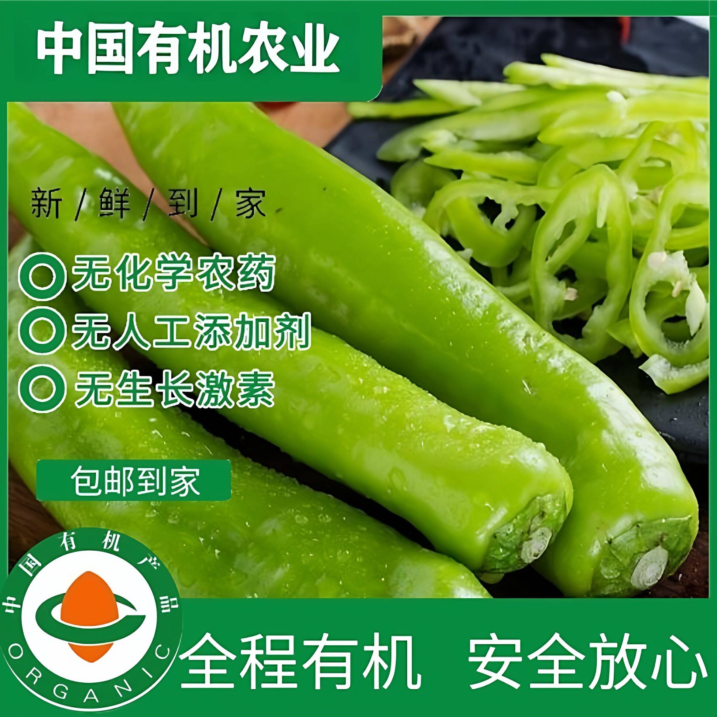 有机青尖椒辣椒新鲜现摘现发有机认证0农残不喷药新鲜绿色蔬菜