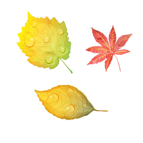 汽车个性创划树叶遮挡疤痕贴车车头贴花遮盖装饰纸身防水意痕车贴