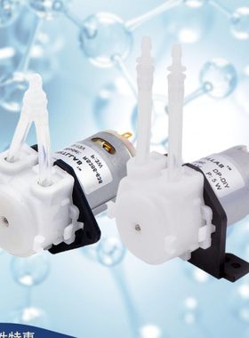 INTLLAB 蠕动泵 微型水泵 家用小型静音 自吸泵 直流抽水泵 12V