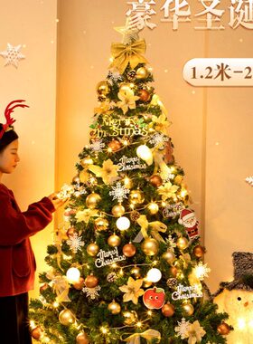 圣诞树家用商加密1.5米发光套餐圣诞节装饰摆件绿色大型1.8/1.2米