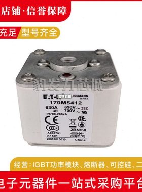 170M5565 170M5566 170M5567 170M5568全新熔断器现货